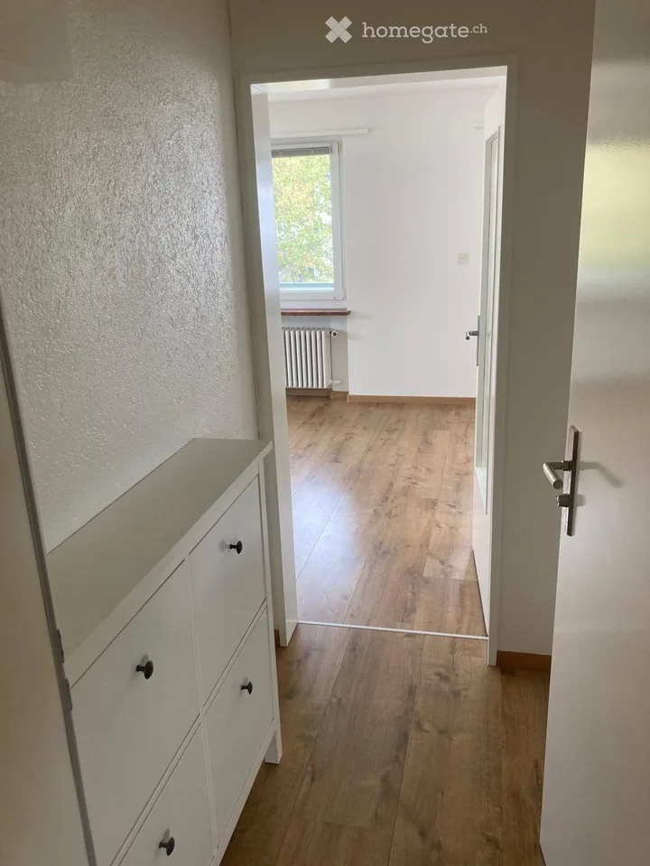 Helle 1-Zimmer-Wohnung mit Balkon in Allschwil per sofort zu vermieten