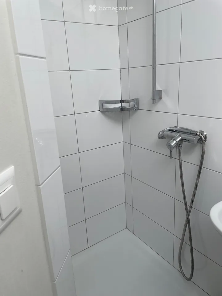 Altbauwohnung