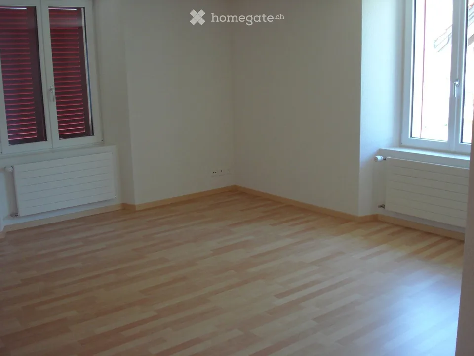 Helle 4.5 Zimmer Wohnung mit Balkon und Aussicht 2.OG