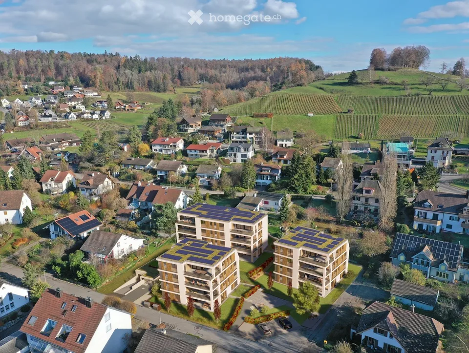 Neubau-Erstbezug in Rafz – 3.5 Zimmer, 101 m² und grosse gedeckte Terrasse