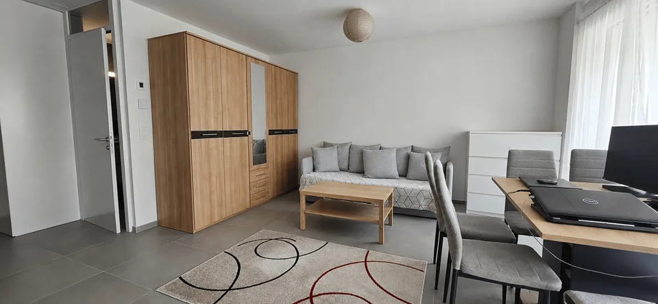 Studio von 37m² mit Balkon in Conthey
