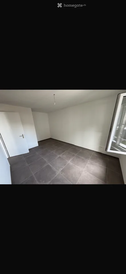 Moderne 4.5-Zimmer-Neubauwohnung in Endingen – sofort verfügbar