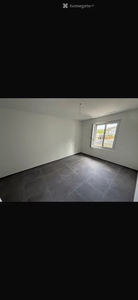 Moderne 4.5-Zimmer-Neubauwohnung in Endingen – sofort verfügbar