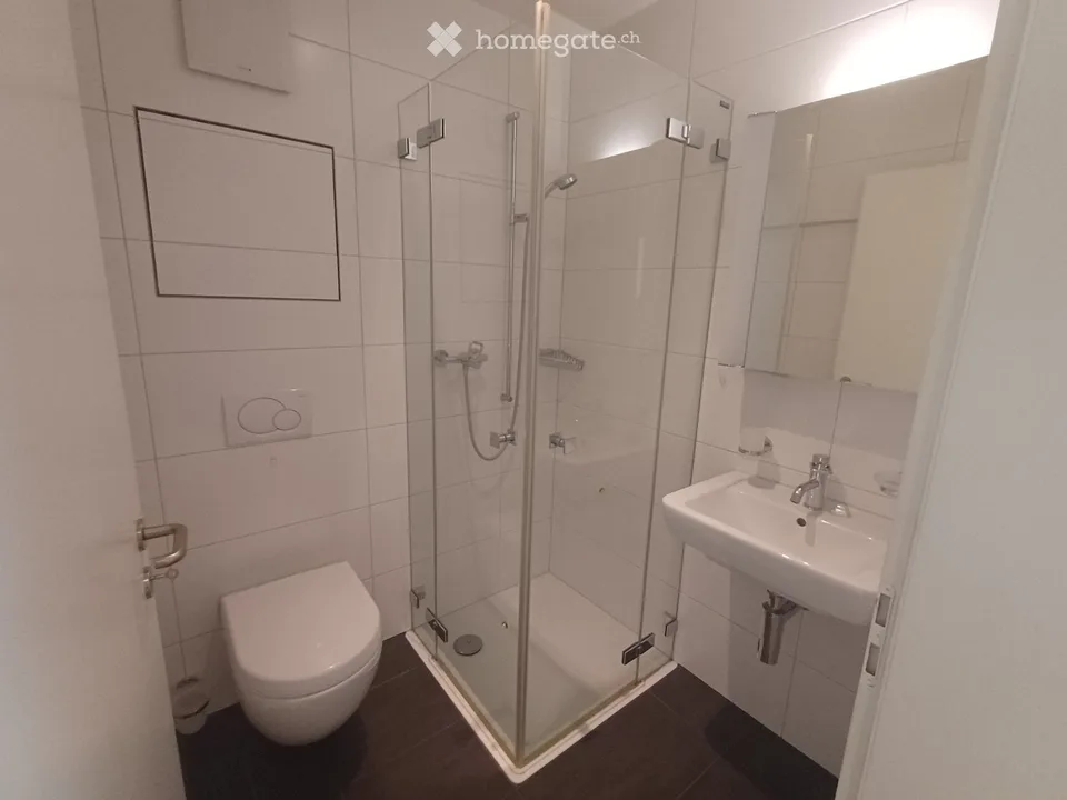 Geräumige 3.5 Zimmer Wohung in Düdingen