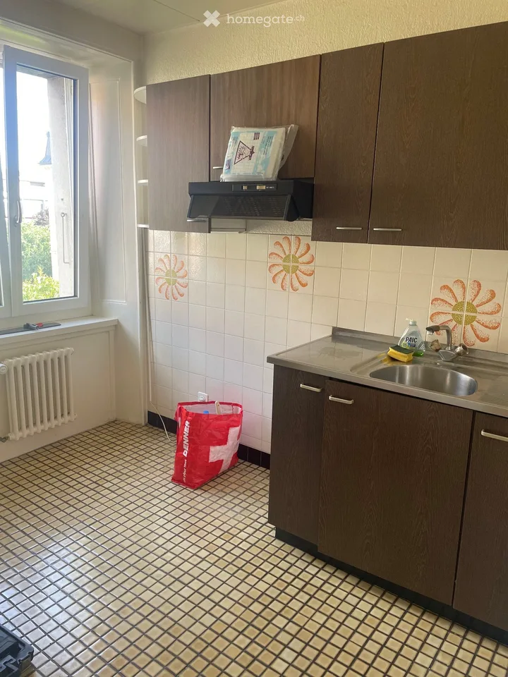3-room apartment in city center