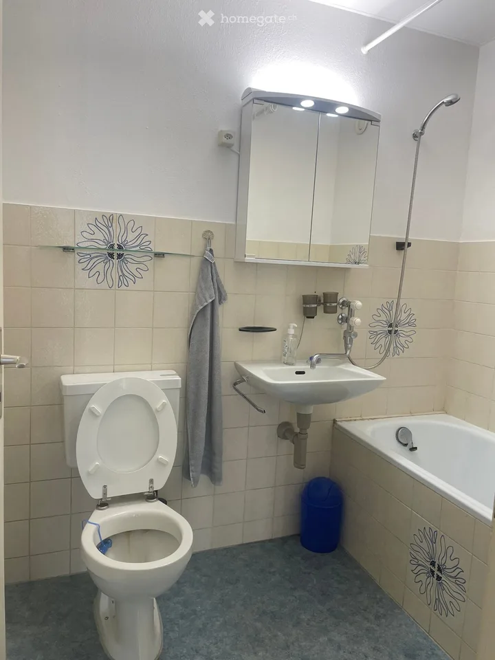 3-room apartment in city center