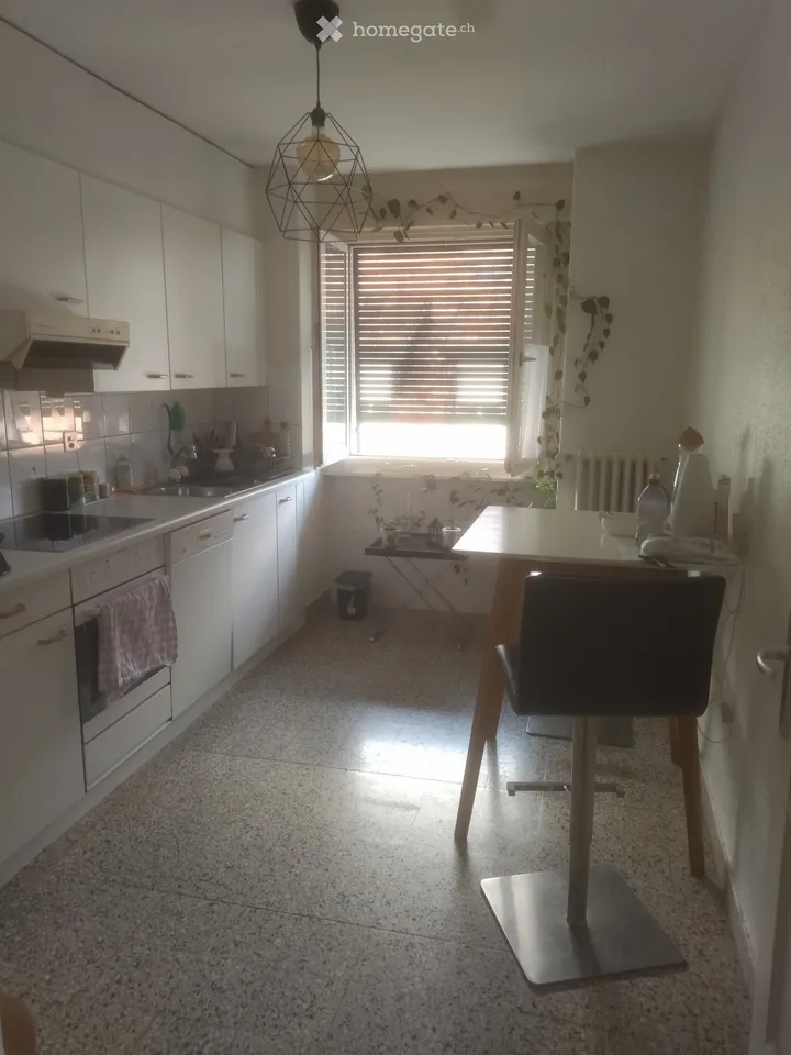 Zu vermieten 3,5 Zimmer im Alt-Viertel