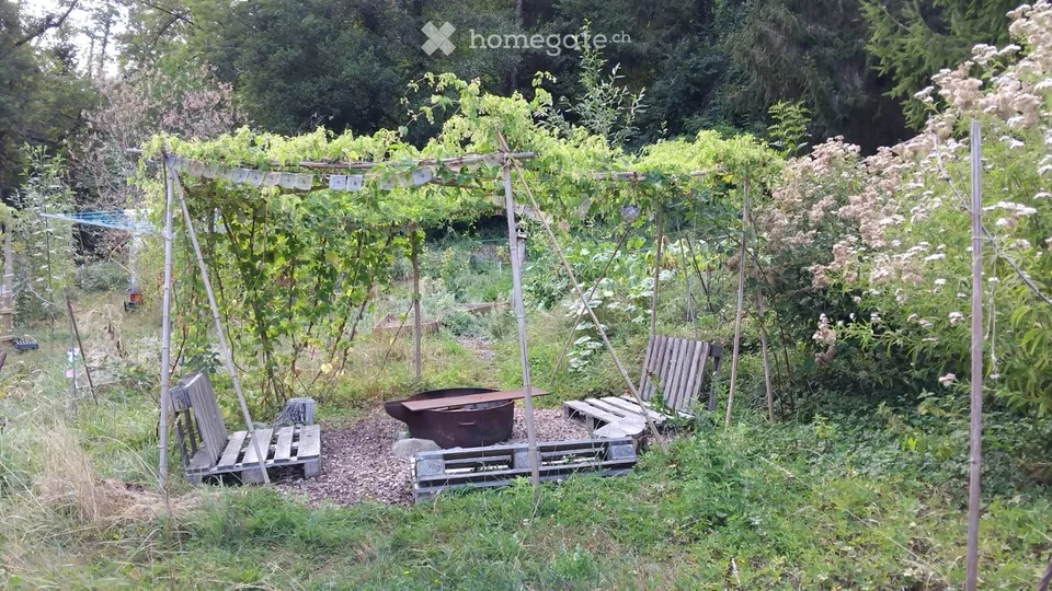 A small room for nature lovers!