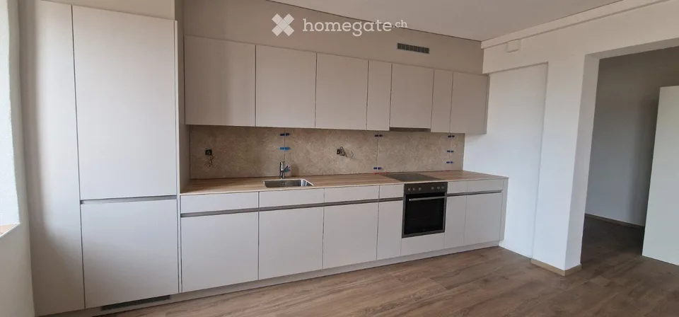 Magnifikes 5-Zimmer-Apartment komplett renoviert mit Terrasse