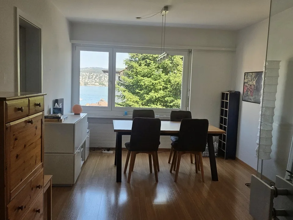 Helle 5-Zimmer-Wohnung mit Seeblick in Thalwil