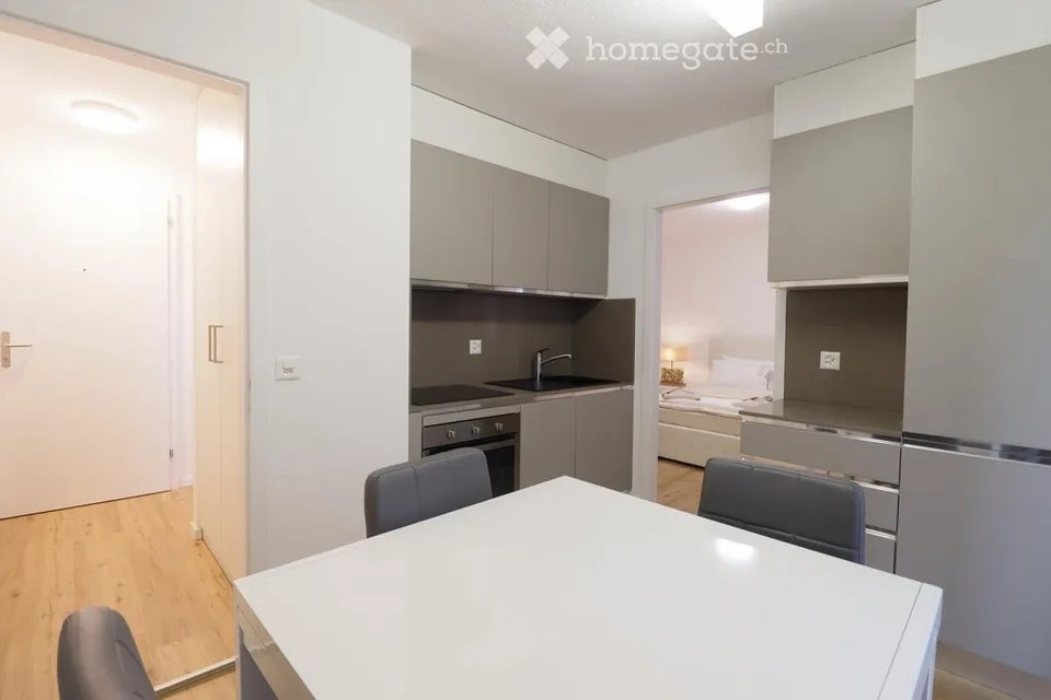 Helle 1.5-Zimmer-Wohnung in Zug