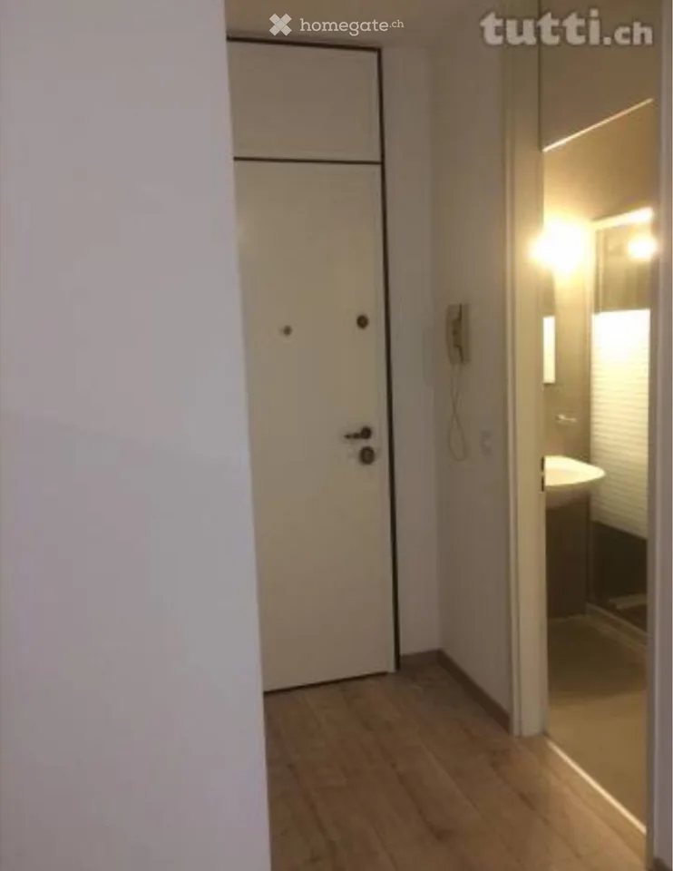 Schönes Einzimmerapartment in Massagno