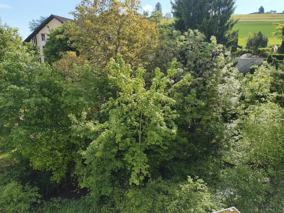 eigene Dusche/WC, 28 Min bis ZH HB, inkl. Reinigung