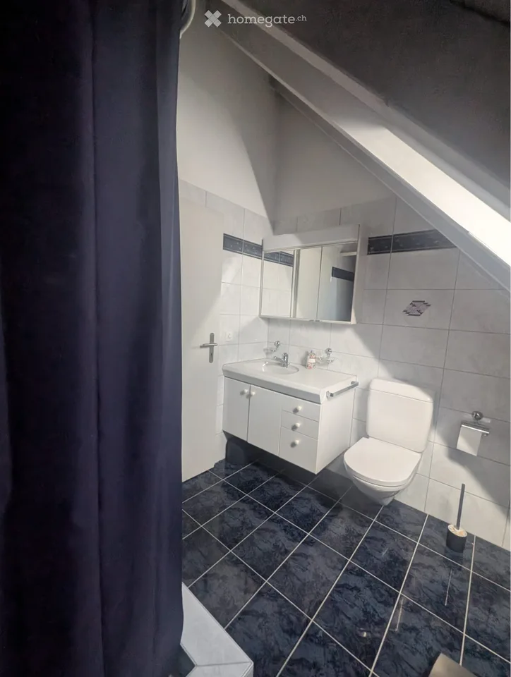 Beautiful 4.5 room apartment in Aristau