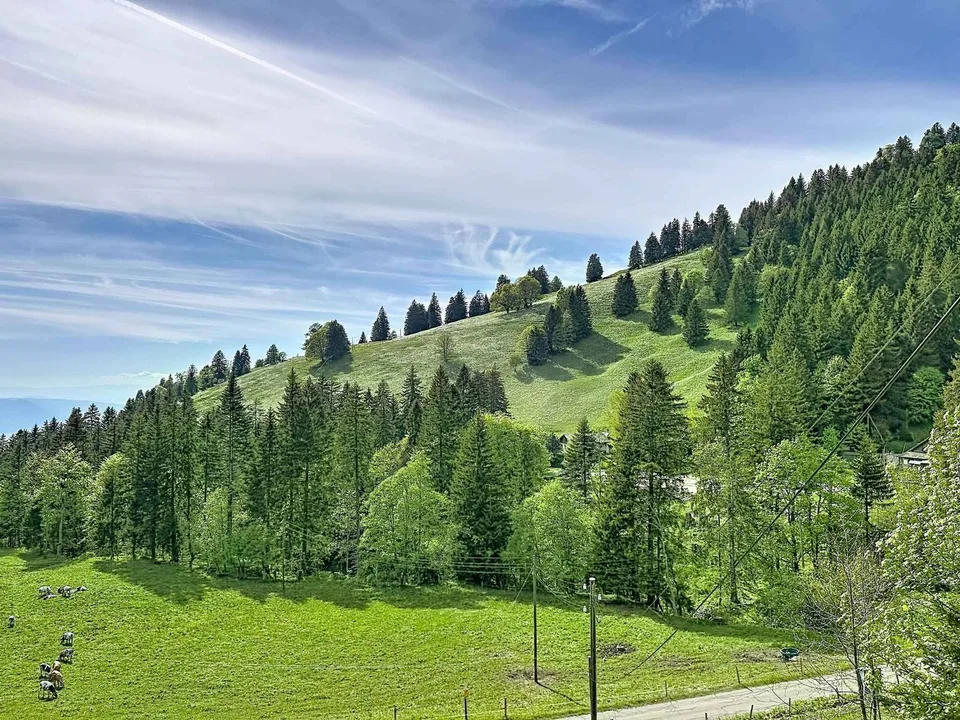Chalet a Orgevaux/Montreux – foto 10 di 13