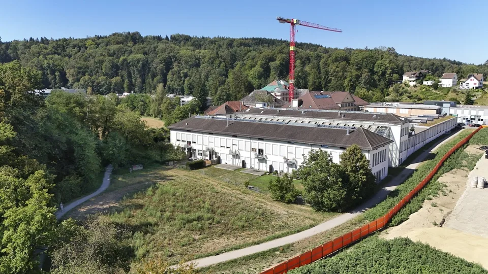 Exclusive Loft Dream in the Walzmühle Area: 3.1 m Ceiling Height, Luxury Kitchen & 130 m² Private Garden – photo 21 of 25