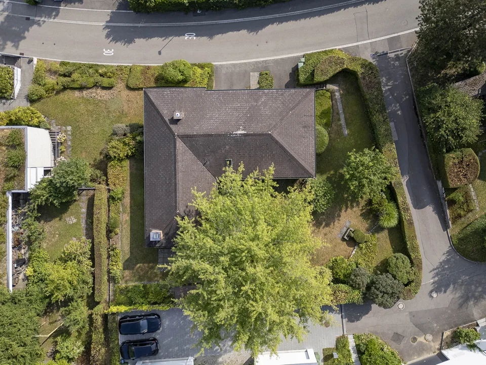 Un jardin pour tomber amoureux : maison unifamiliale sur un terrain de construction attrayant