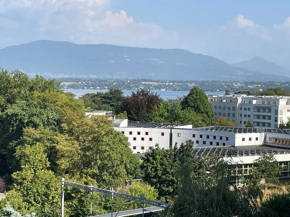 Appartement vue lac & Mont-Blanc