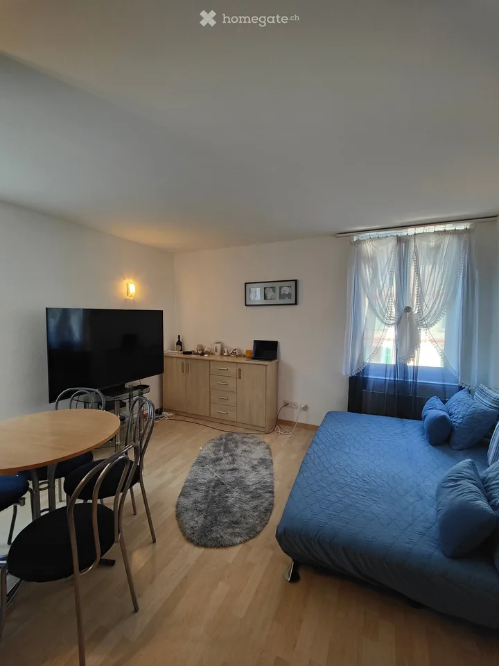 Apartment in Winterthur Töss