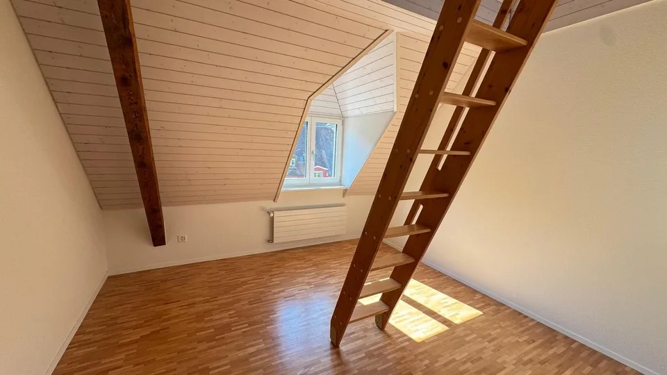 Charming attic apartment with gallery in Baden