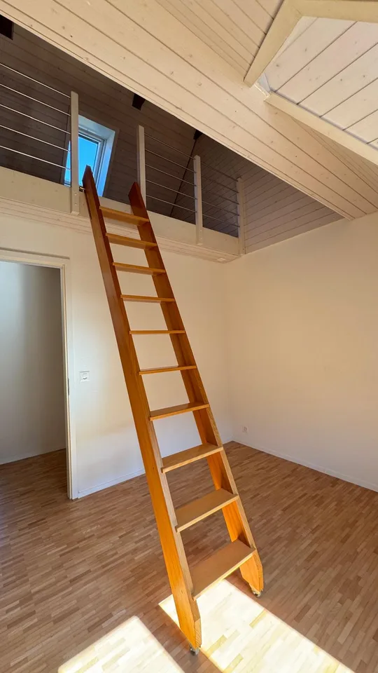 Charming attic apartment with gallery in Baden