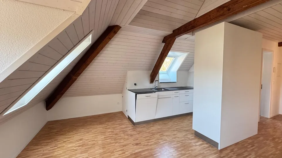 Charming attic apartment with gallery in Baden