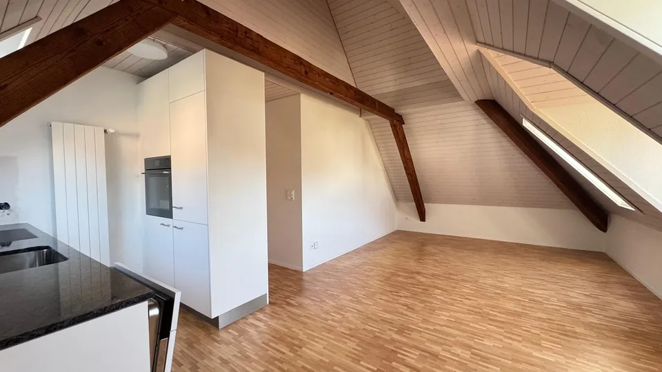 Charming attic apartment with gallery in Baden