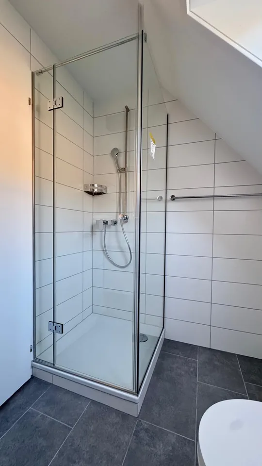 Charming attic apartment with gallery in Baden