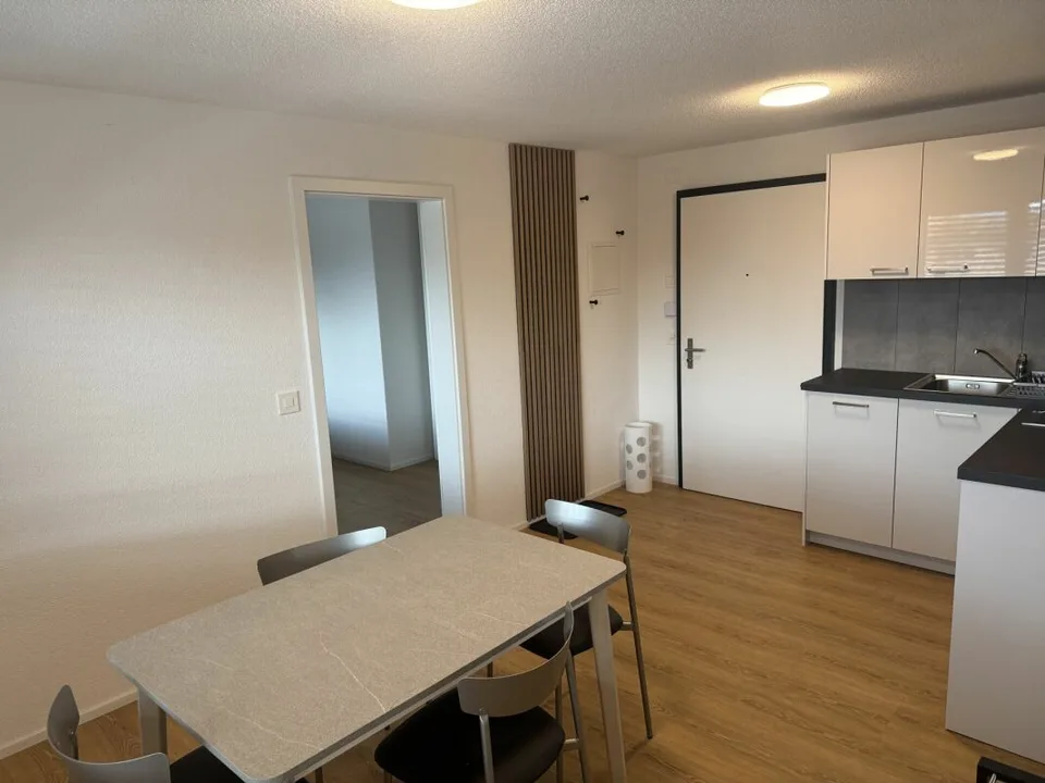 ARI-0826 - Appartement moderne de 2,5 pièces avec colonne de machines à laver/à sécher - Reprise de bail