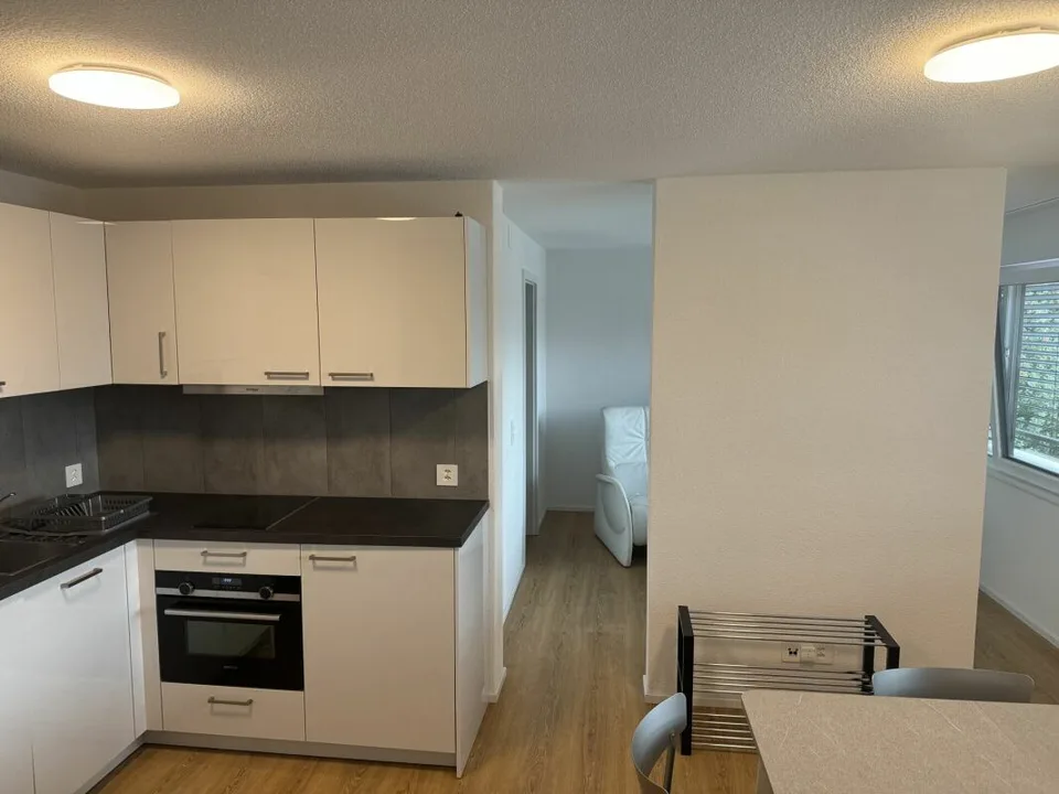ARI-0826 - Modern 2.5-room apartment with washer/dryer column - Lease takeover