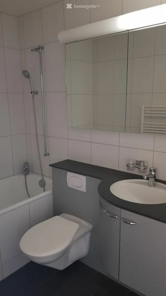 Appartement charmant de 2 pièces à Laupen BE – disponible immédiatement