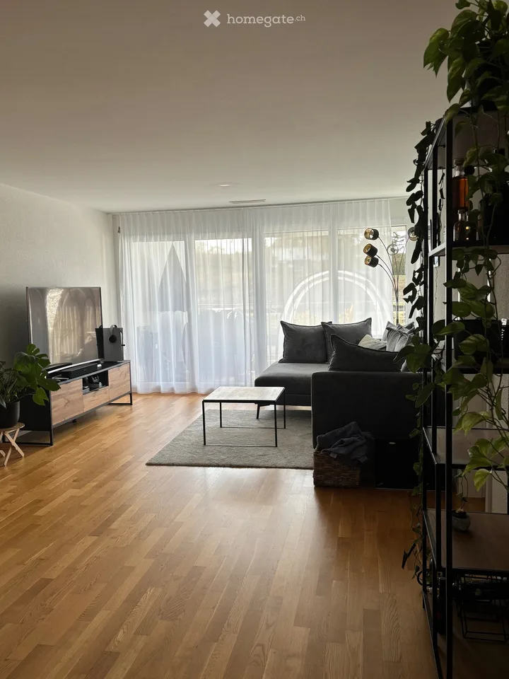 Modern furnished 4.5-room apartment for sublet