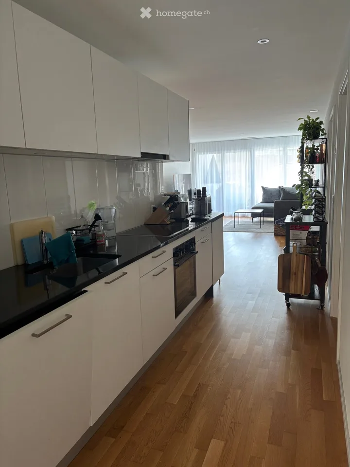 Modern furnished 4.5-room apartment for sublet