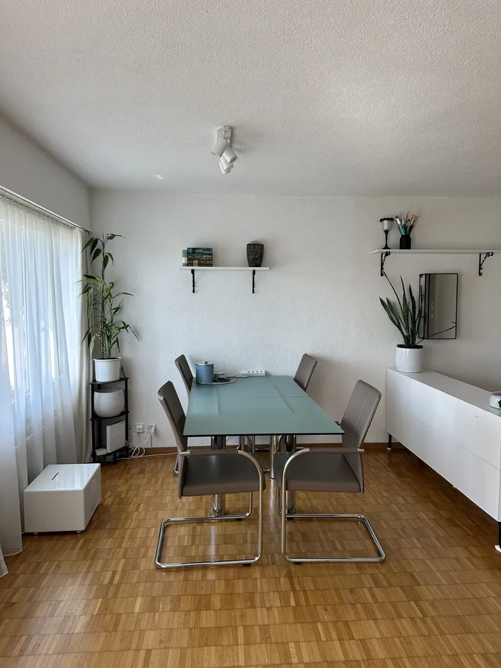 2½ ZI-WOHNUNG IN FÄLLANDEN (ZH), MÖBLIERT, TEMPORÄR