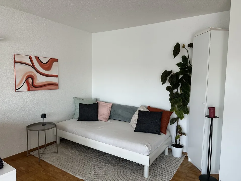 2½ ZI-WOHNUNG IN FÄLLANDEN (ZH), MÖBLIERT, TEMPORÄR