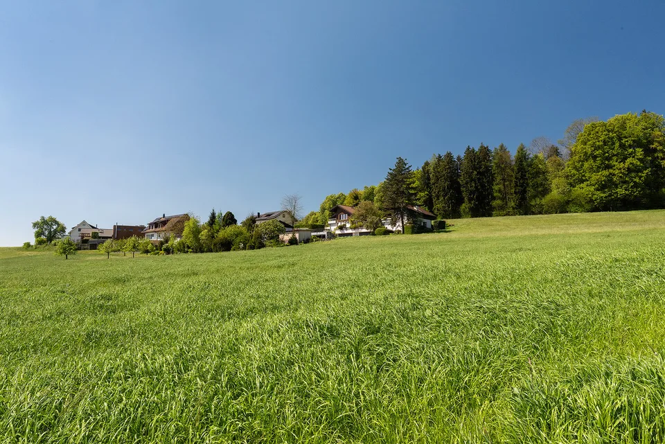 6.5‑Zimmer-Einfamilienhaus an traumhafter Aussichtslage, nähe Waldrand