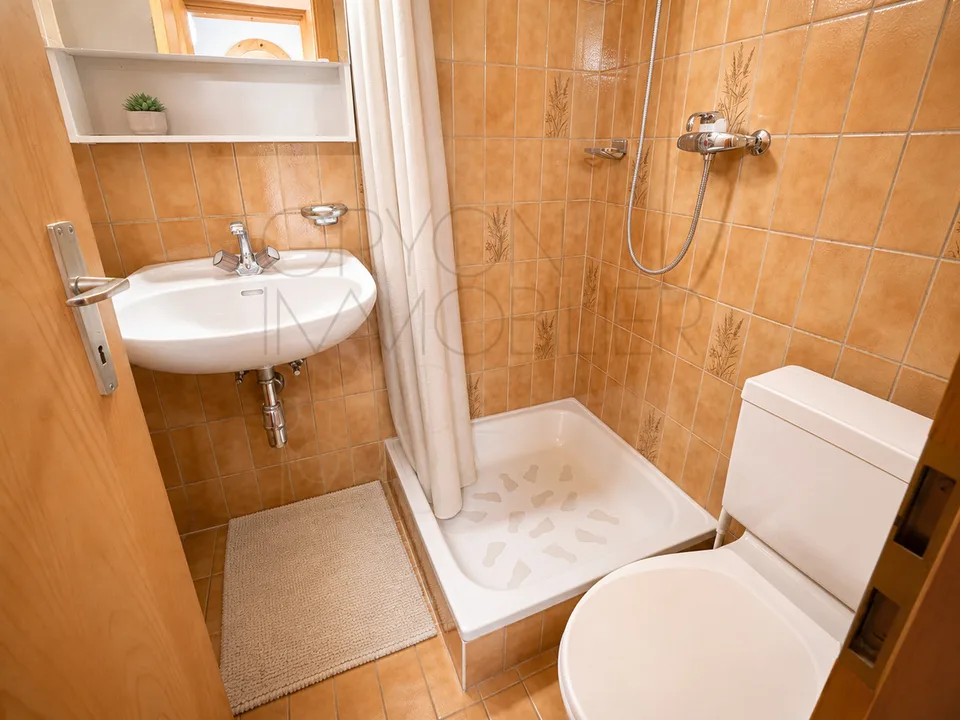 Appartement 2,5 pièces aux Arsets avec balcon et soupente