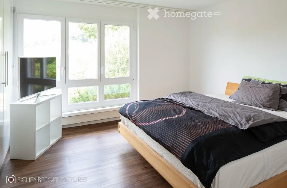 Cozy 2.5-room apartment with balcony and beautiful view in Oetwil an der Limmat