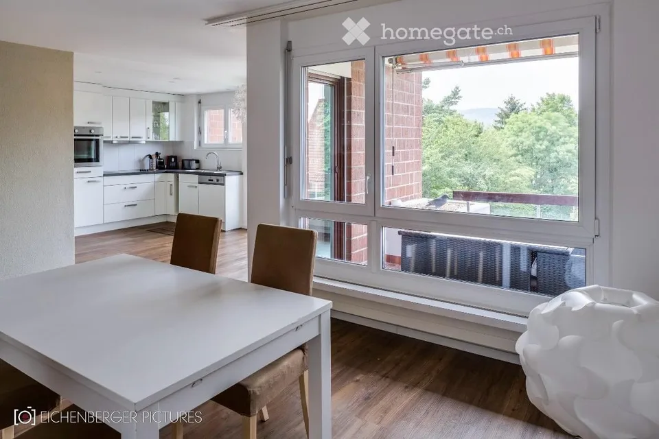 Cozy 2.5-room apartment with balcony and beautiful view in Oetwil an der Limmat