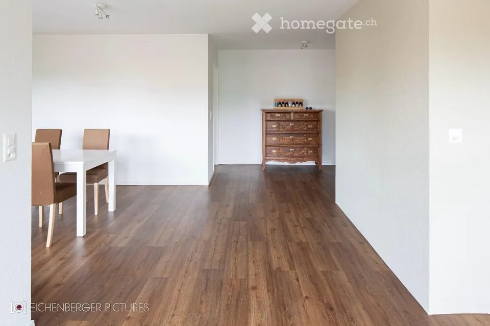 Cozy 2.5-room apartment with balcony and beautiful view in Oetwil an der Limmat