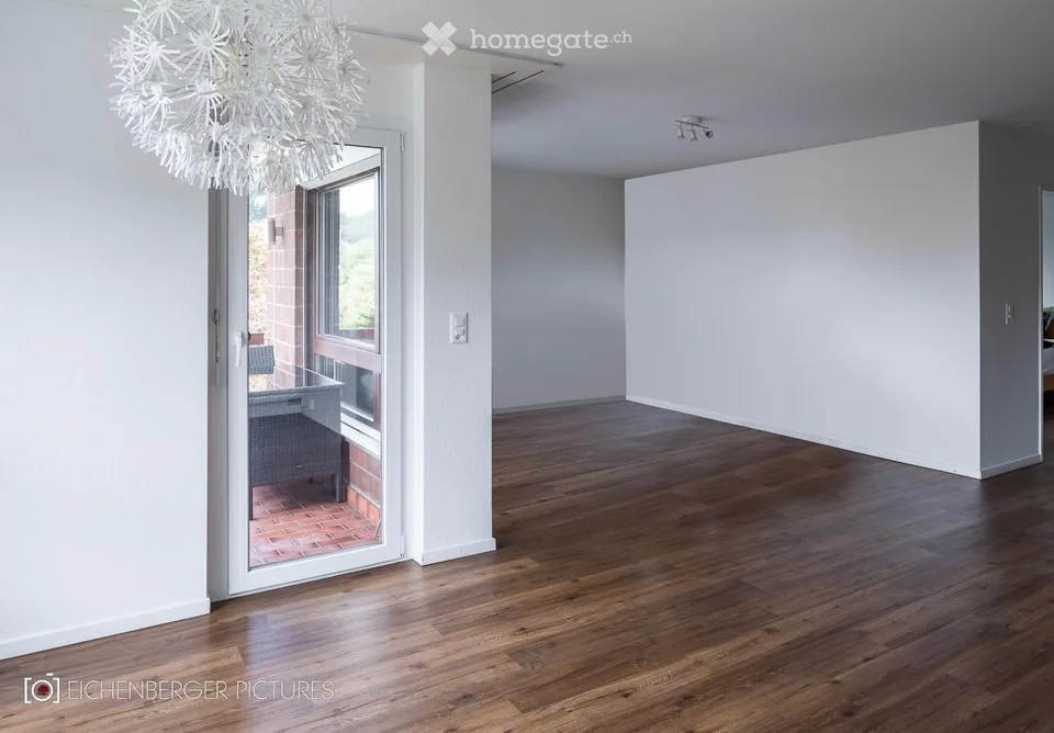 Cozy 2.5-room apartment with balcony and beautiful view in Oetwil an der Limmat