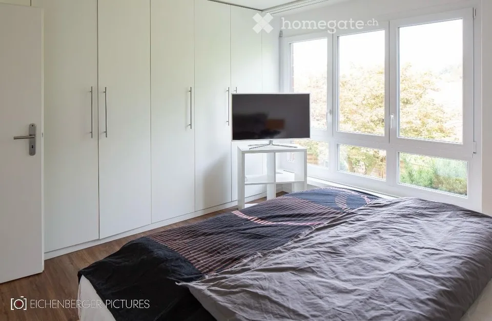 Cozy 2.5-room apartment with balcony and beautiful view in Oetwil an der Limmat