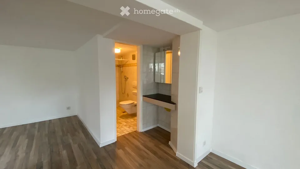 Studio 1 pièce fraîchement rénové avec espace de séjour à Mels