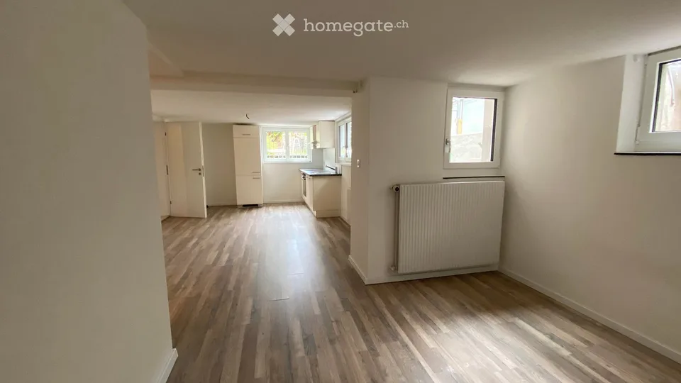 Studio 1 pièce fraîchement rénové avec espace de séjour à Mels