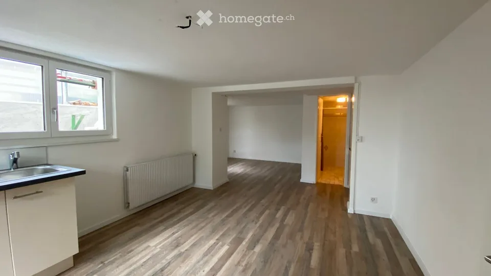 Studio 1 pièce fraîchement rénové avec espace de séjour à Mels
