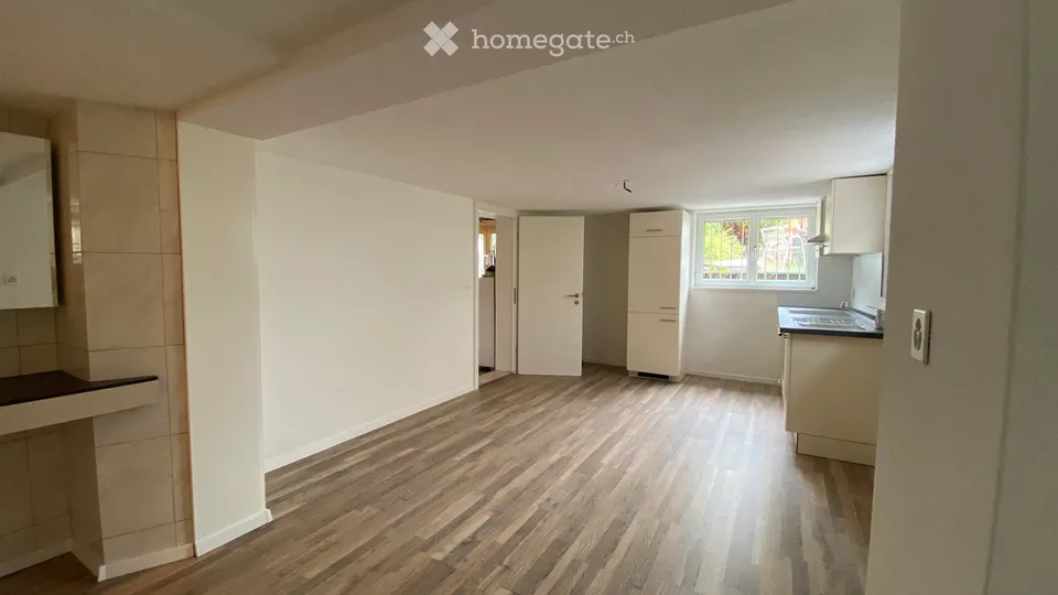 Studio 1 pièce fraîchement rénové avec espace de séjour à Mels