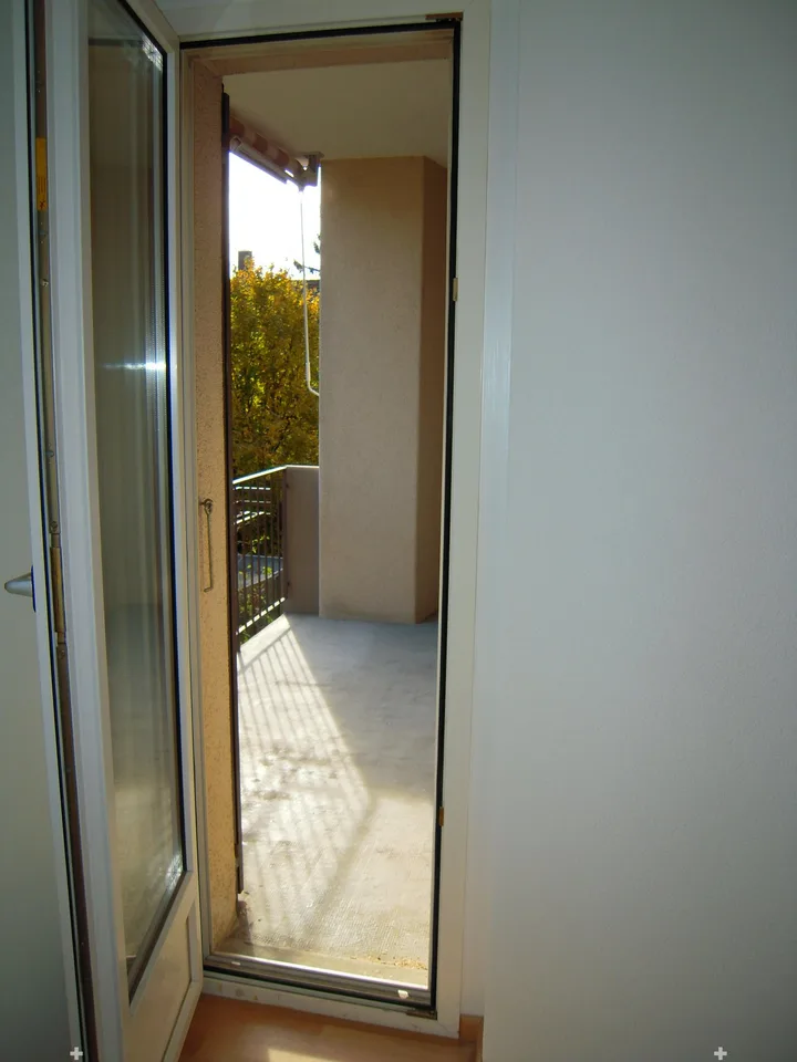2-room apartment with balcony