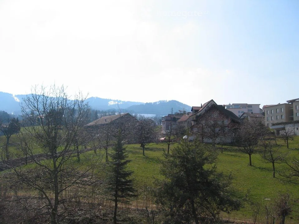 helle 2 1/2-Zimmerwohnung mit Balkon und schöner Seesicht