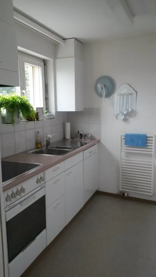 helle 2 1/2-Zimmerwohnung mit Balkon und schöner Seesicht