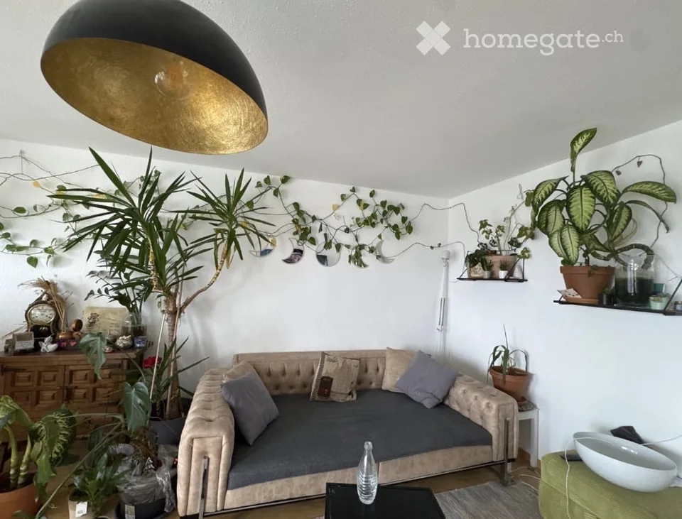 Helle 4.5-Zimmer-Wohnung mit Balkon in Wetzikon – sofort verfügbar!
